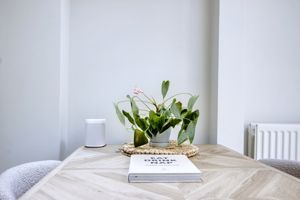 Photo 10- click for photo gallery